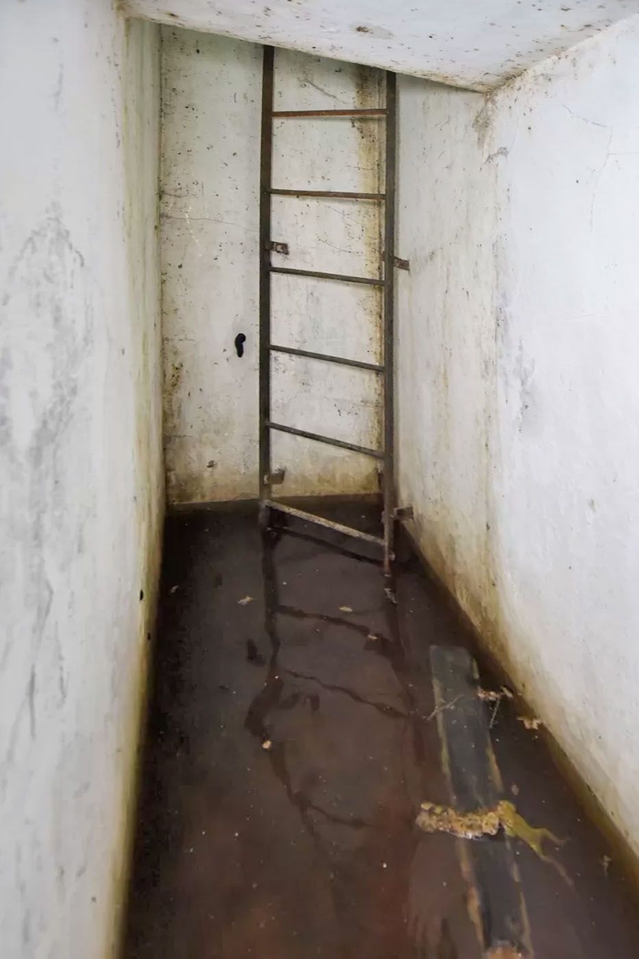 Ligne Maginot - CU1 - (Chambre de coupure) -  - Ludovic KNAPP