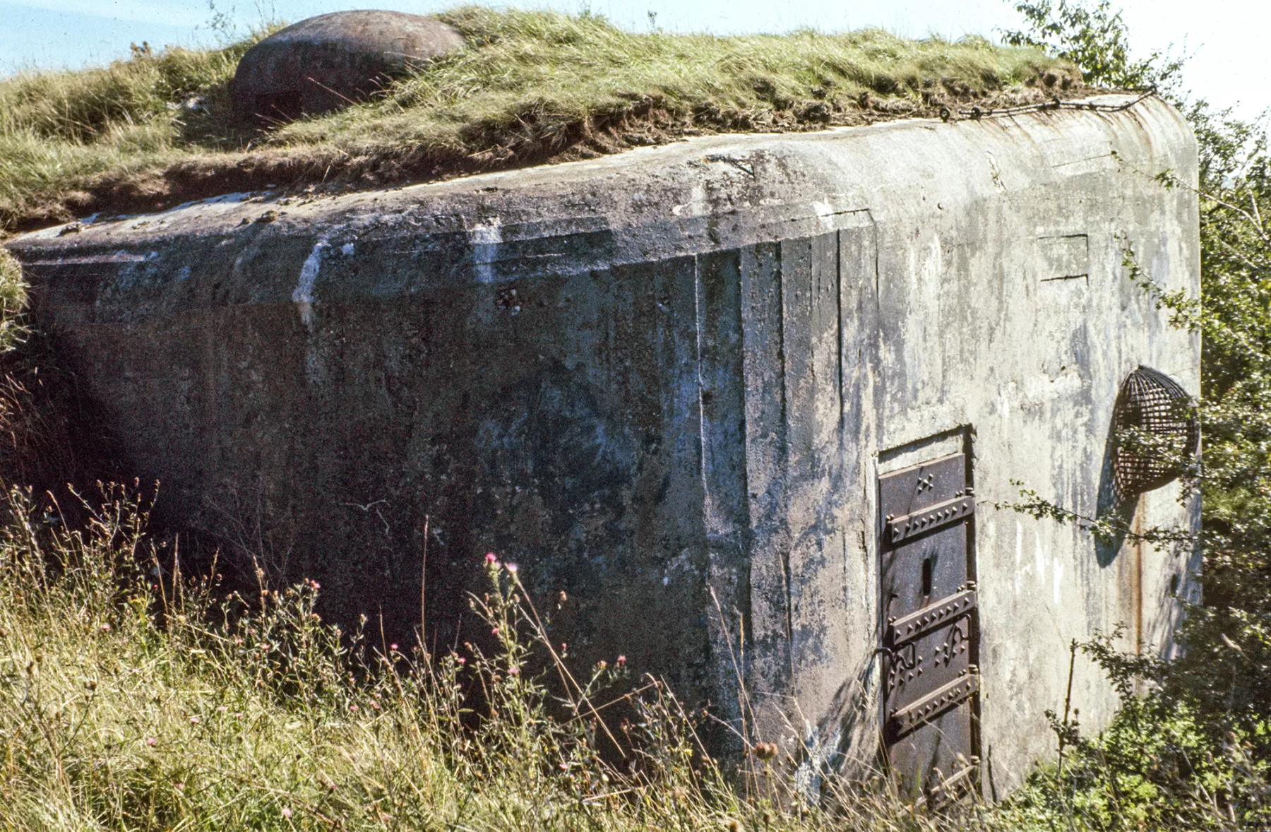 Ligne Maginot - BISTERBERG NORD I - C65 - (Casemate d'infanterie - Simple) - L'entrée gauche - MANSUY Michel