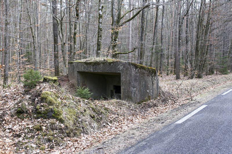 Ligne Maginot - WEIHERSTHAL Nord (Blockhaus pour canon) - 