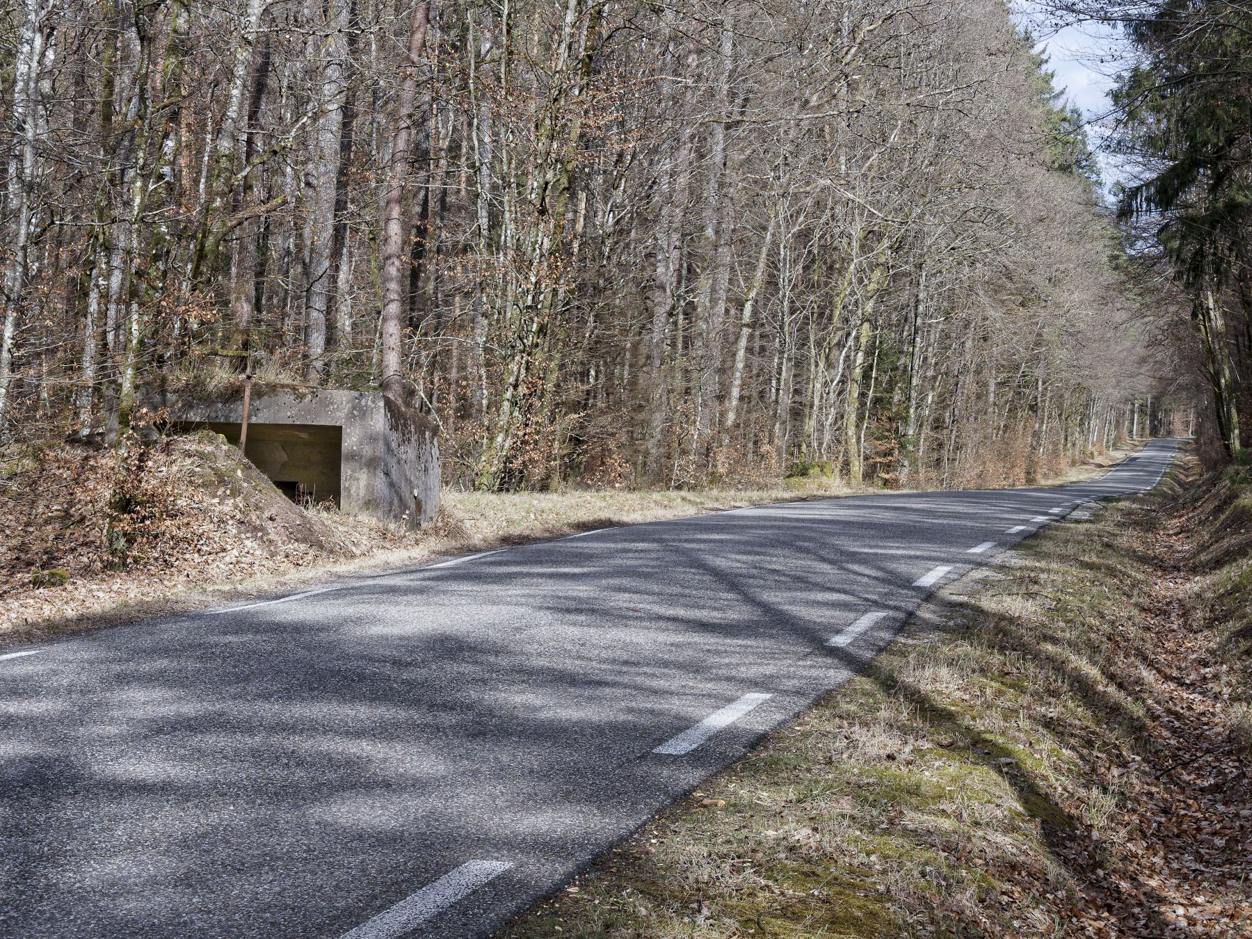 Ligne Maginot - WEIHERSTHAL NORD - (Blockhaus pour canon) - Vue arrière du bouclier, vue depuis la direction de Neunhoffen