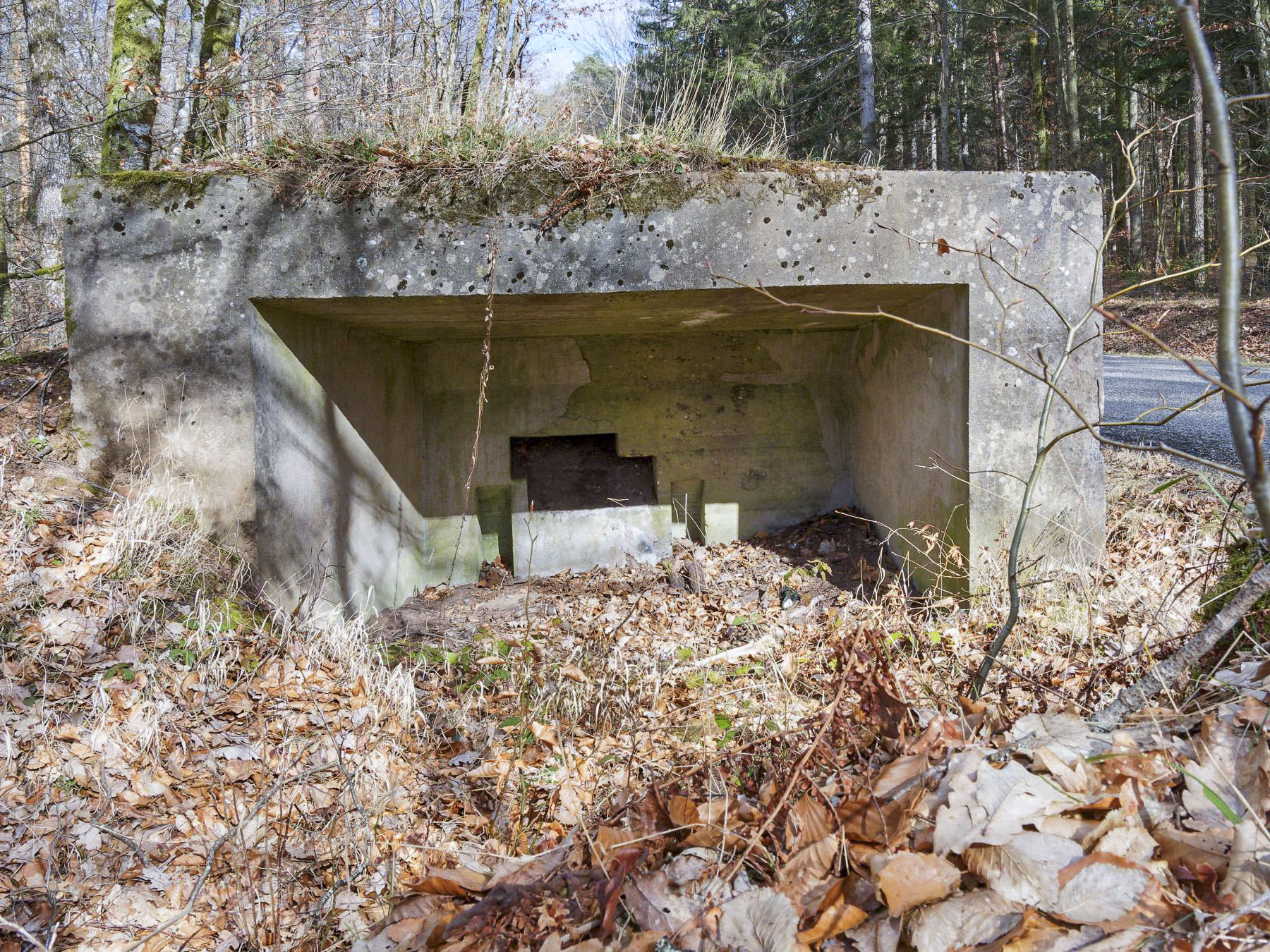 Ligne Maginot - WEIHERSTHAL NORD - (Blockhaus pour canon) - Vue arrière avec les réservations pour les roues du canon et le créneau