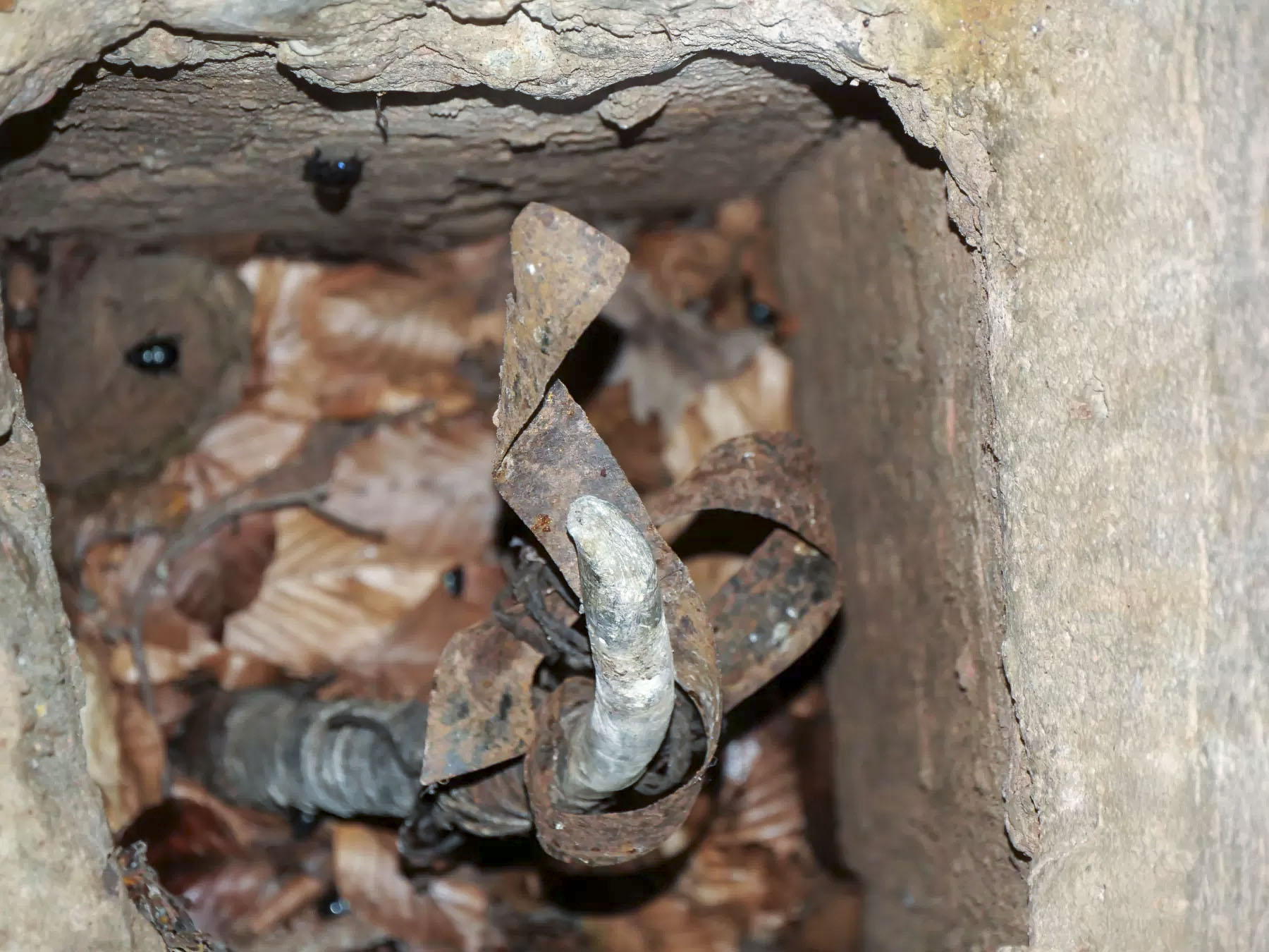 Ligne Maginot - D01 - (Chambre de coupure) - L'arrivée des câbles
 - J.L