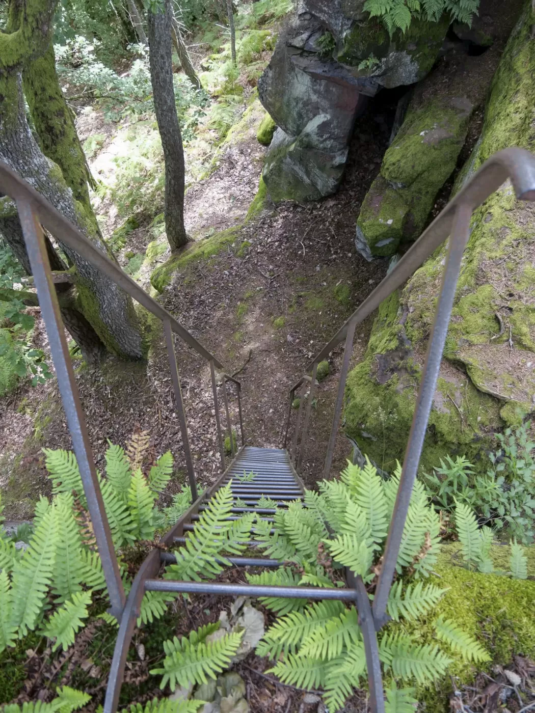 Ligne Maginot - FALKENBERG - (Observatoire d'artillerie) - Vue de la première échelle
 - J.L