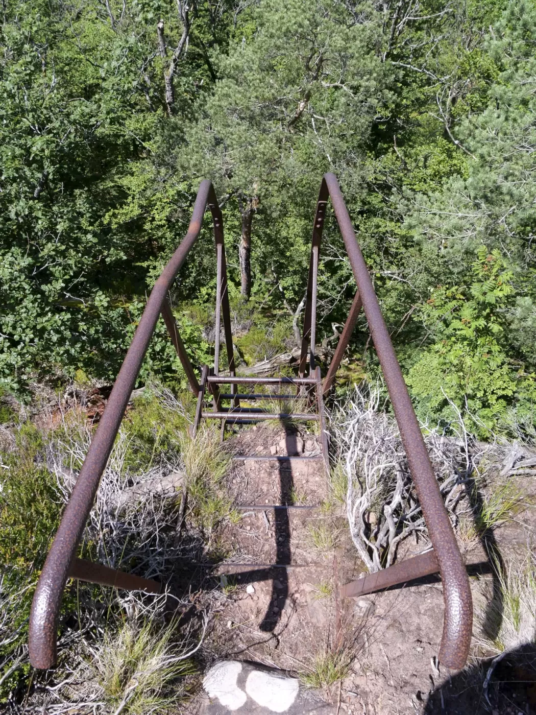 Ligne Maginot - FALKENBERG - (Observatoire d'artillerie) - Vue de la deuxième échelle
 - J.L