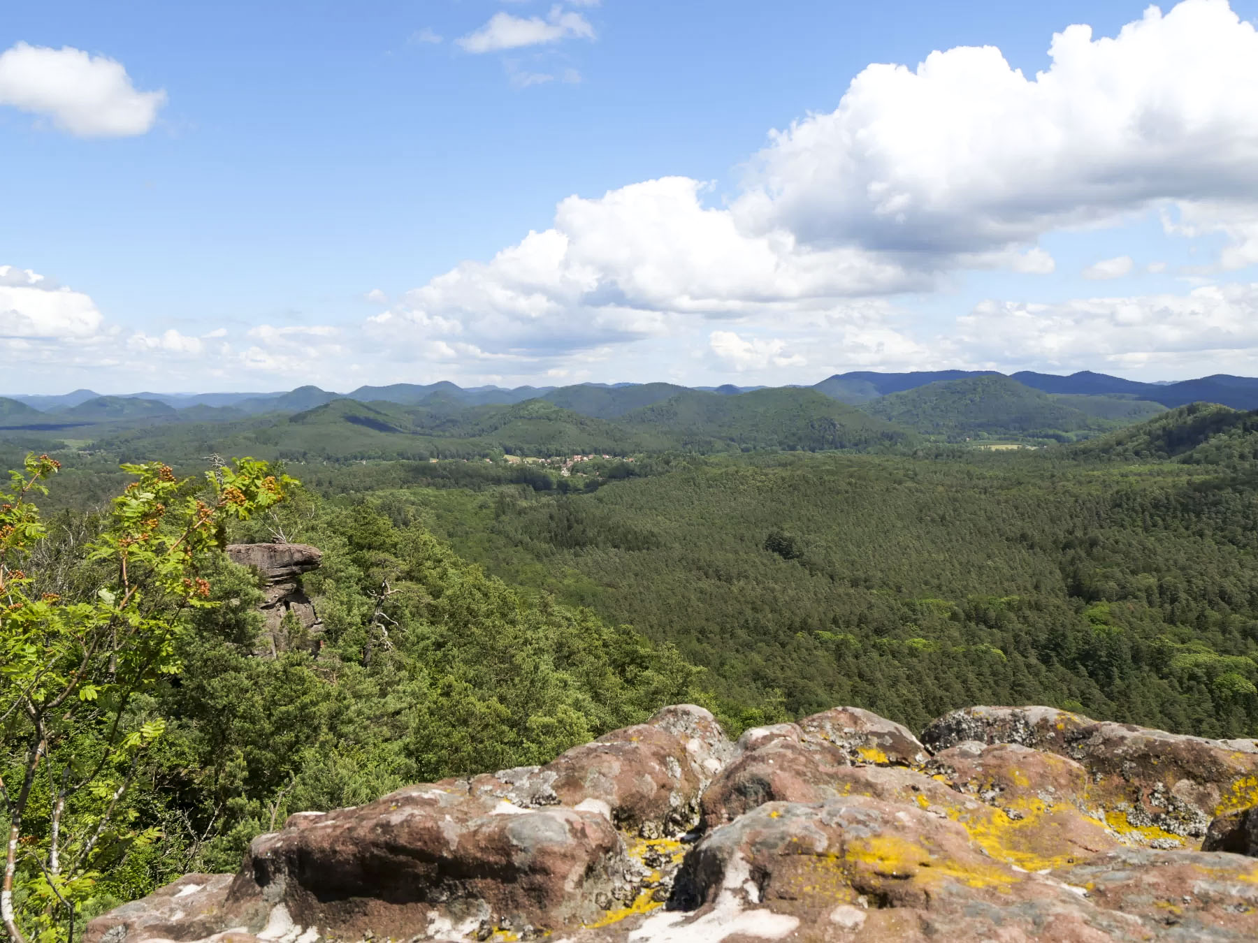 Ligne Maginot - FALKENBERG - (Observatoire d'artillerie) - Vue du poste d'observation haut.
Les fer à béton ont disparue  - J.L