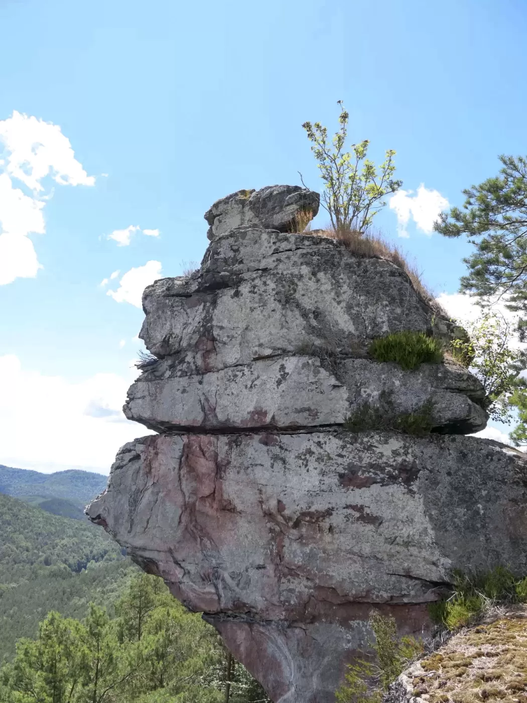 Ligne Maginot - FALKENBERG - (Observatoire d'artillerie) - Vue du poste d'observation haut les fer à béton ont disparue  - J.L