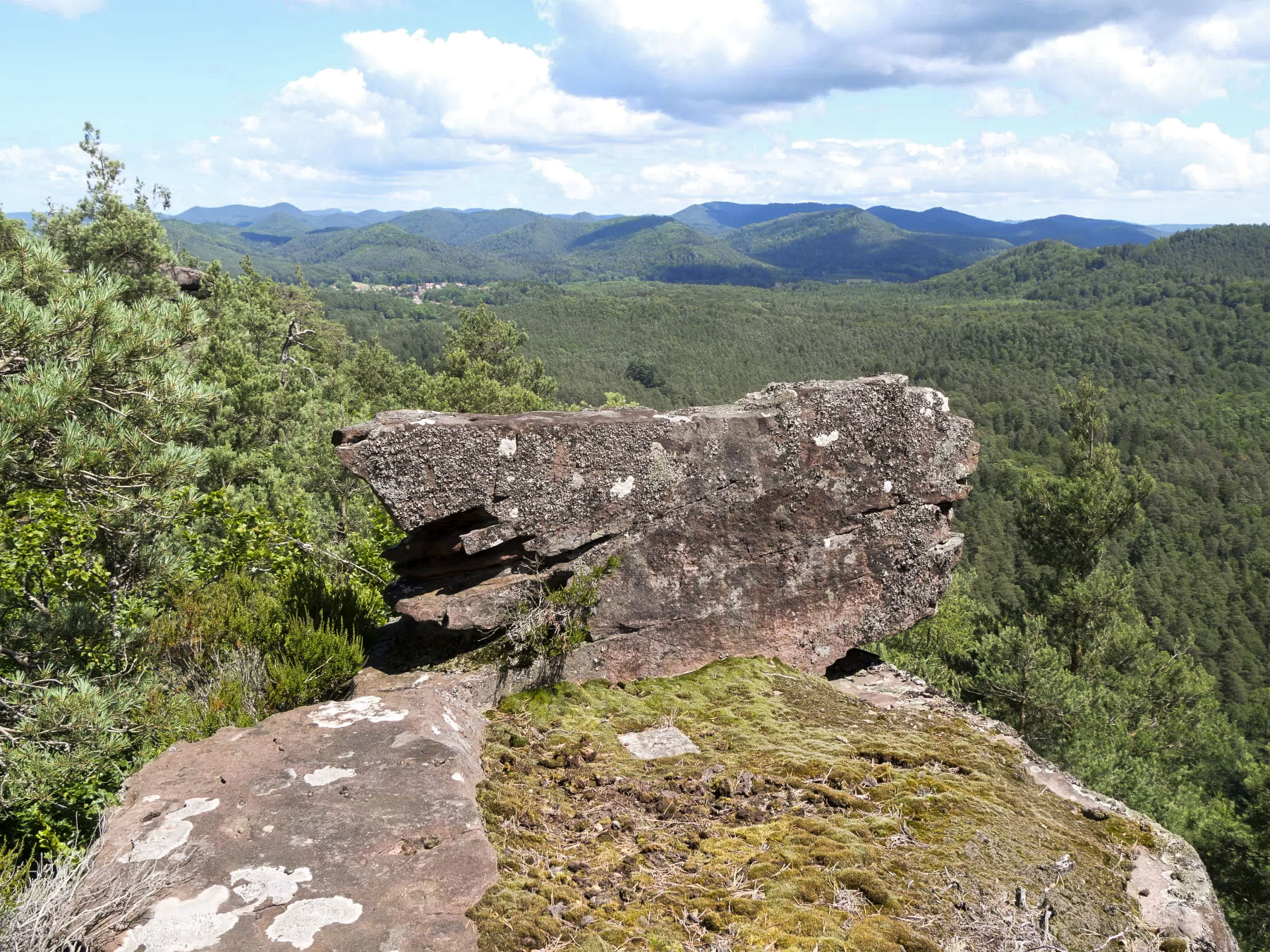 Ligne Maginot - FALKENBERG - (Observatoire d'artillerie) - Vue du poste d'observation bas  - J.L