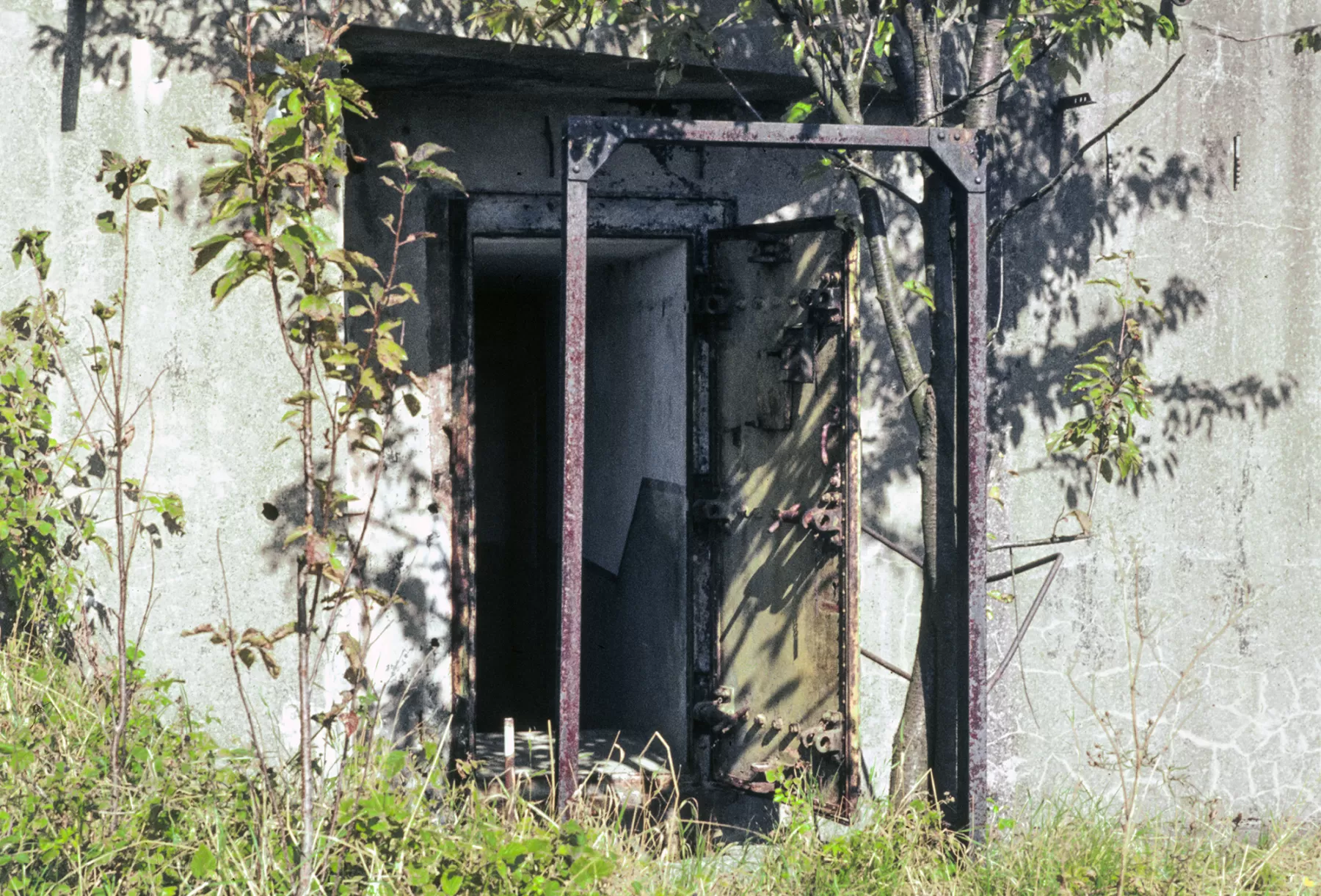 Ligne Maginot - BISTERBERG NORD II - C66 - (Casemate d'infanterie - Simple) - Le portail devant l'entrée - MANSUY Michel
