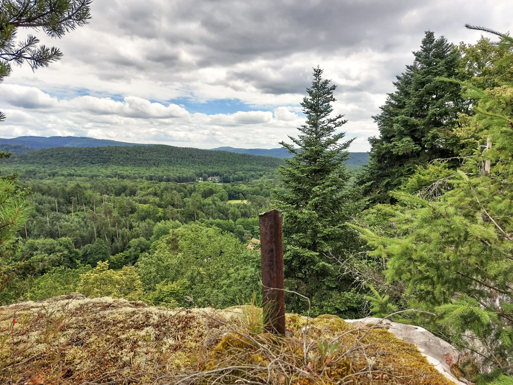 Ligne Maginot - WALDECK - (Observatoire d'artillerie) - Vestige d'aménagement au sommet du rocher nord - Gregory Fuchs