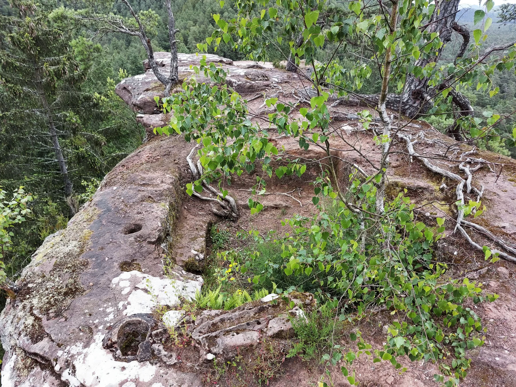 Ligne Maginot - WALDECK - (Observatoire d'artillerie) - L'observatoire au sommet du rocher nord - Gregory Fuchs