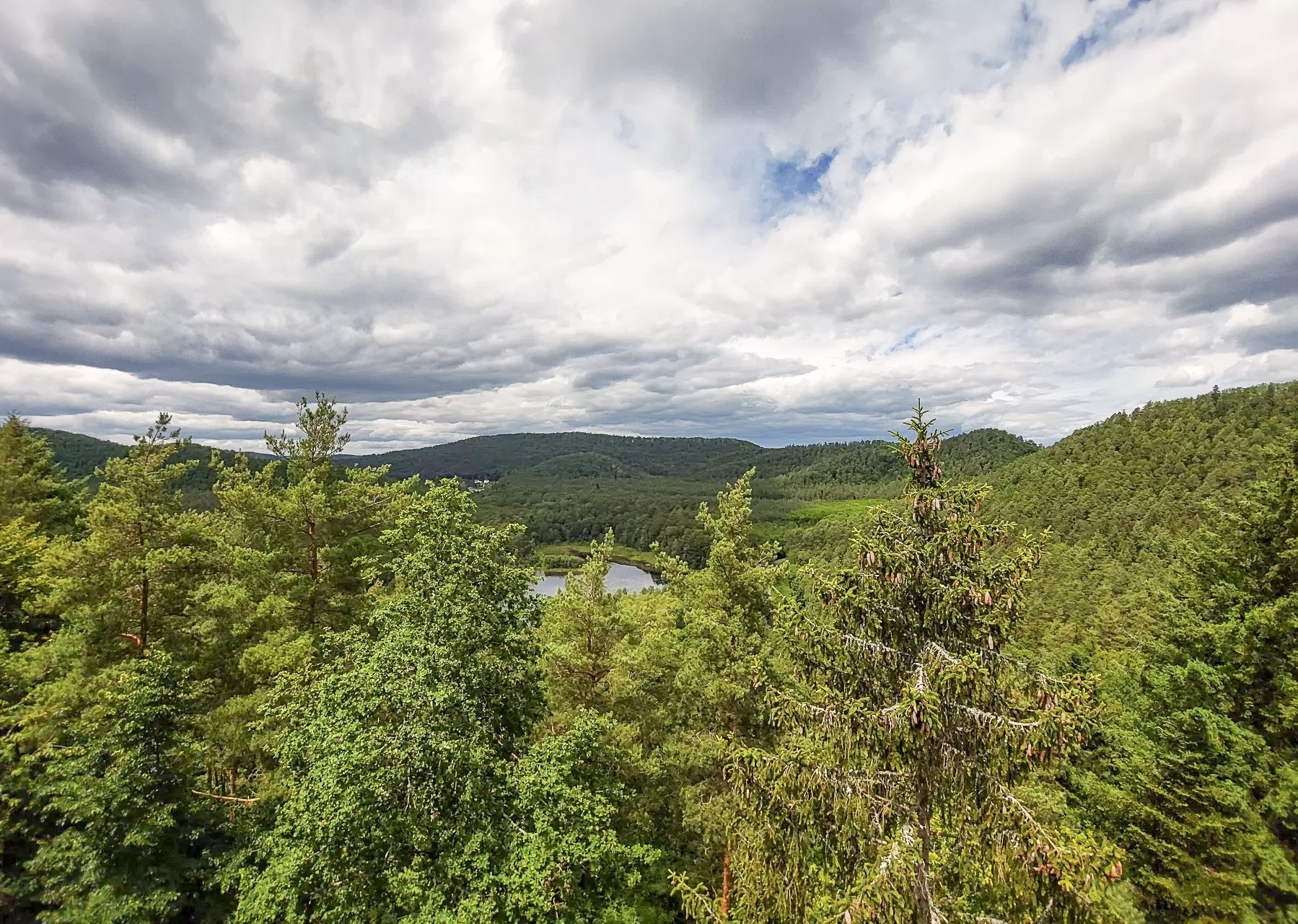 Ligne Maginot - WALDECK - (Observatoire d'artillerie) - Vue au nord-ouest, vers l'étang de Waldeck - Gregory Fuchs