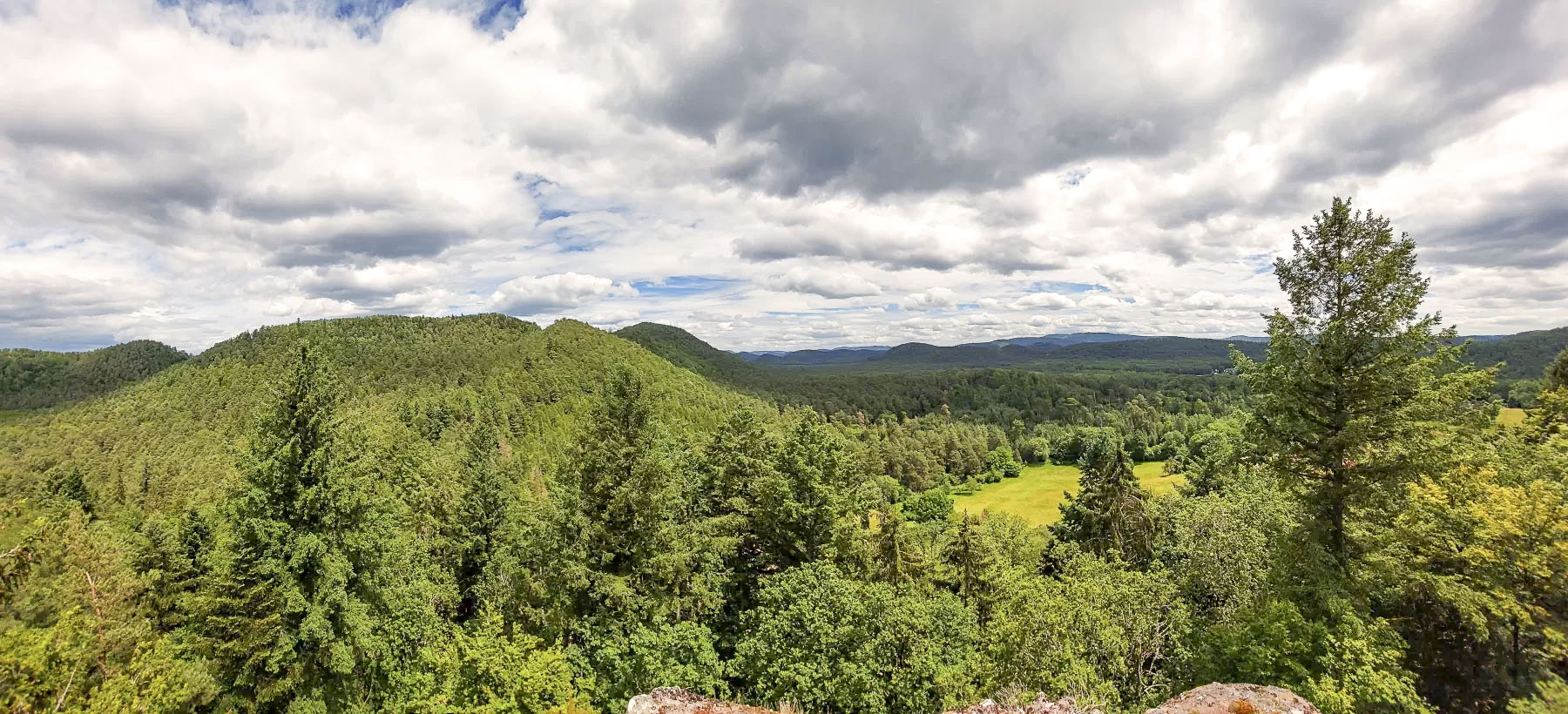 Ligne Maginot - WALDECK - (Observatoire d'artillerie) - Vue au nord vers la LPR
A gauche les sommets du Kandelberg, de l'Erbsenberg et du Biesenberg. A droite la vallée de l'Erbsenthal - Gregory Fuchs