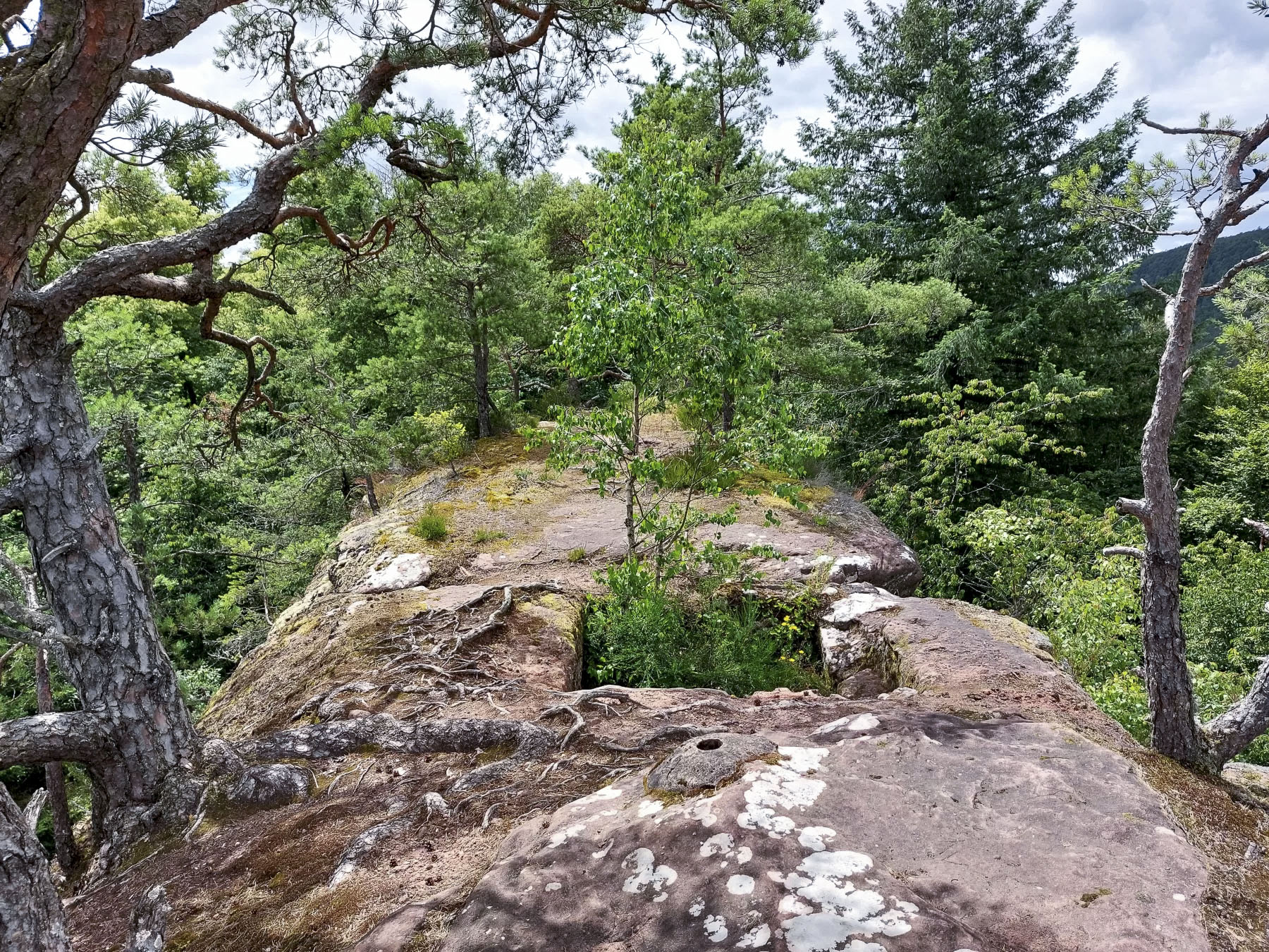 Ligne Maginot - WALDECK - (Observatoire d'artillerie) - L'observatoire au sommet du rocher nord - Gregory Fuchs