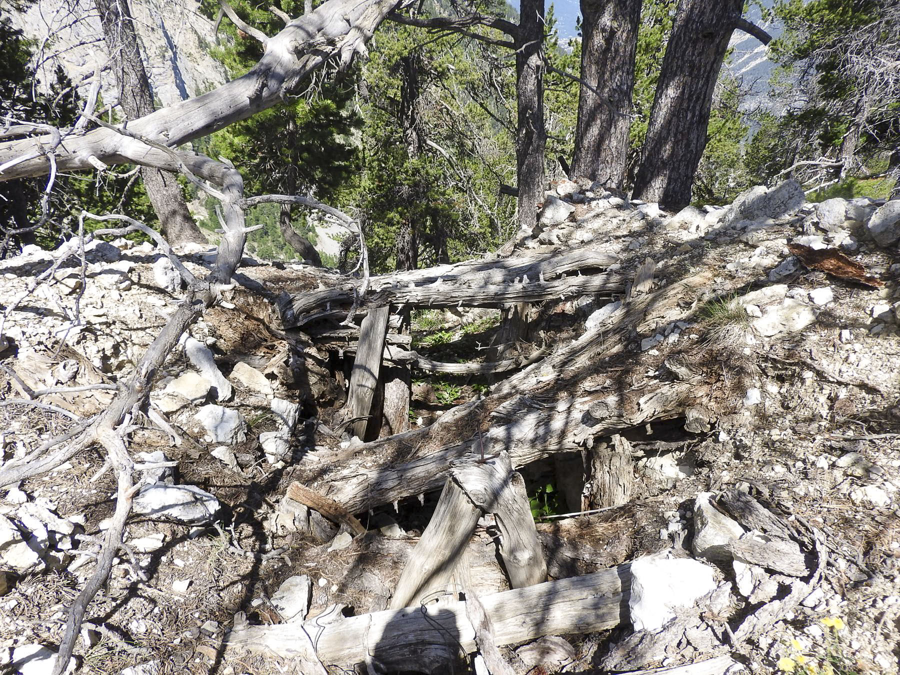 Ligne Maginot - LA LAUZETTE CRêTE (3° BIE / 154° RAP) - (Position d'artillerie préparée) - Les restes de l'abri attenant. - STENGER Mathieu