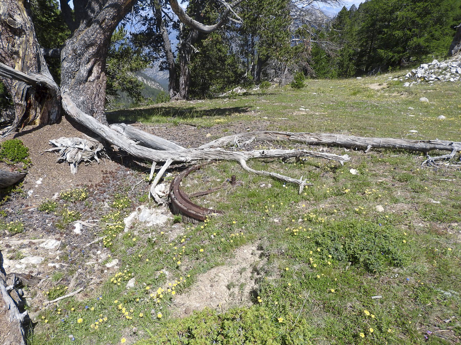 Ligne Maginot - LA LAUZETTE CRêTE (3° BIE / 154° RAP) - (Position d'artillerie préparée) - La troisième plate-forme pour canon de 75 mm. - STENGER Mathieu