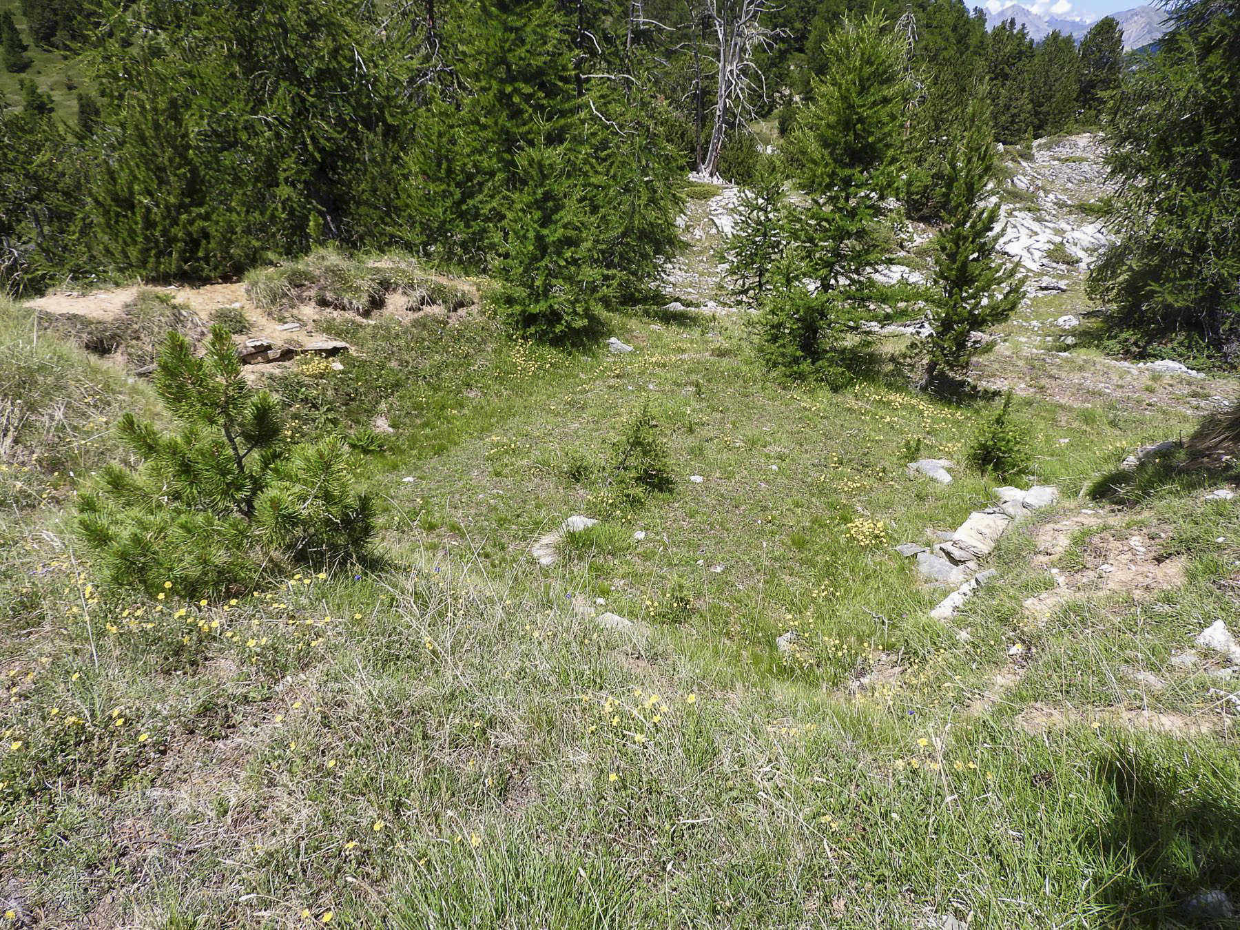 Ligne Maginot - LA LAUZETTE SUD (3° BIE / 154° RAP) - (Position d'artillerie préparée) - Une première plate-forme de tir. - STENGER Mathieu