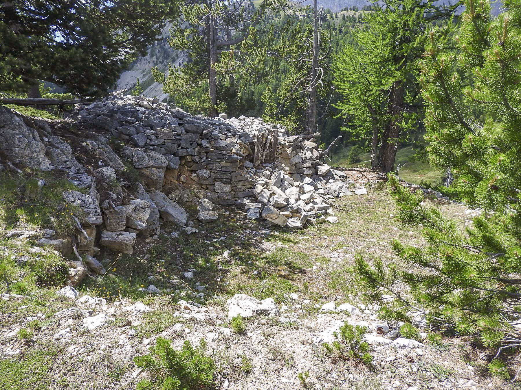 Ligne Maginot - LA LAUZETTE SUD (3° BIE / 154° RAP) - (Position d'artillerie préparée) - Une deuxième plate-forme de tir. - STENGER Mathieu