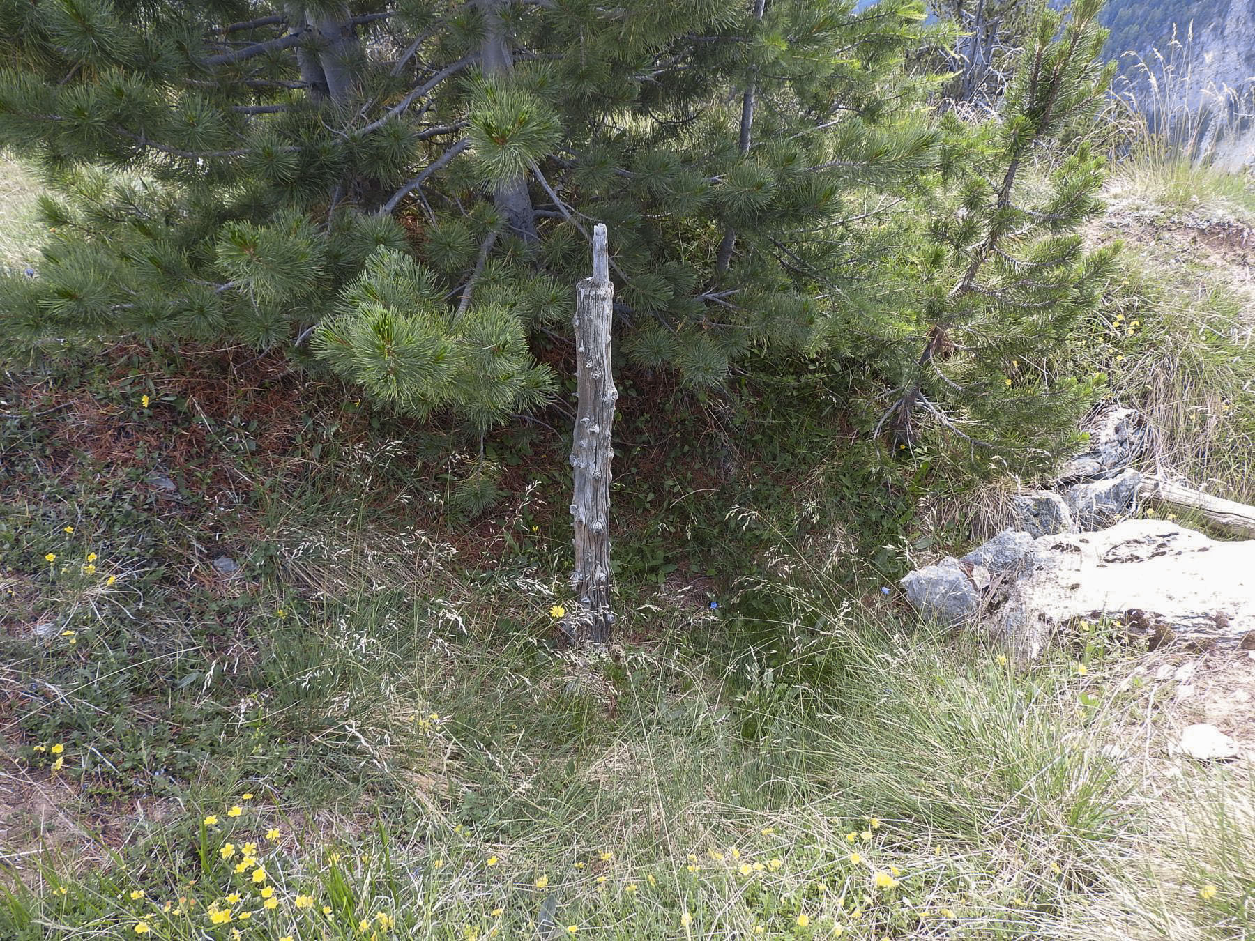 Ligne Maginot - LA LAUZETTE SUD (3° BIE / 154° RAP) - (Position d'artillerie préparée) - Un support artisanal pour une arme d'infanterie. - STENGER Mathieu