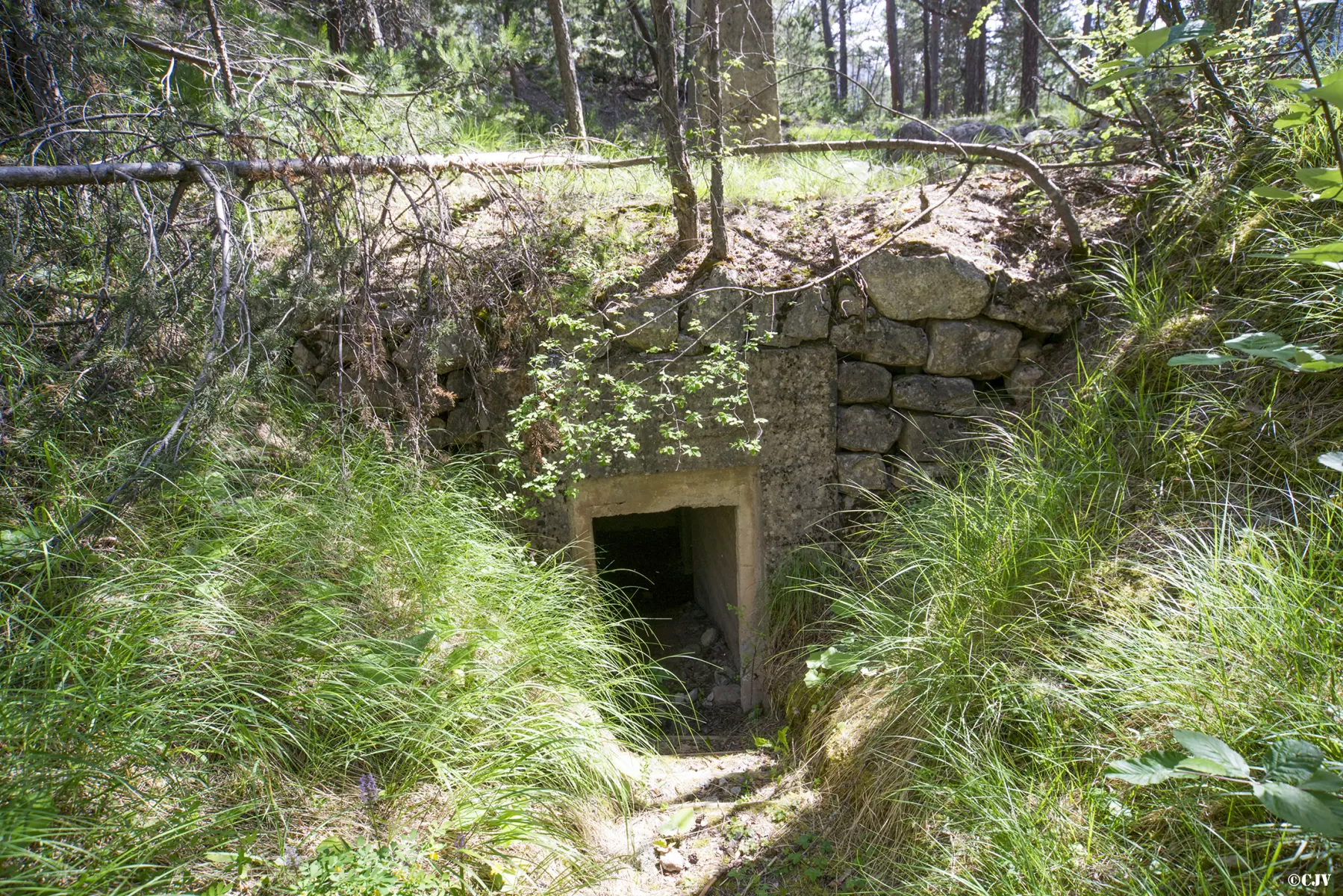 Ligne Maginot - LA PIGNEE - (Abri) - Entrée gauche