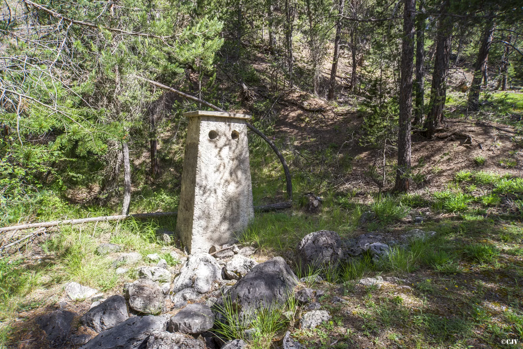 Ligne Maginot - LA PIGNEE - (Abri) - La cheminée 