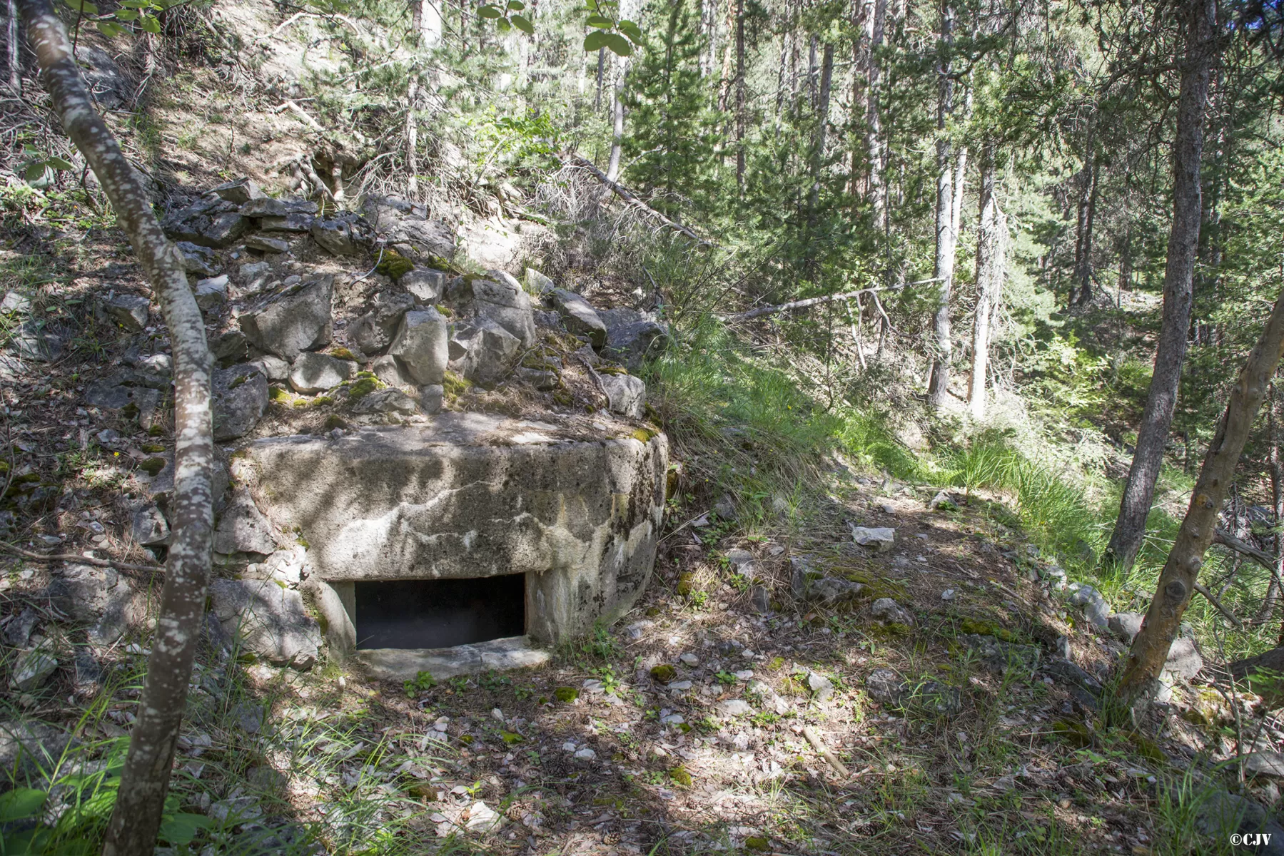 Ligne Maginot - LA PIGNEE 2 - (Blockhaus pour arme infanterie) -  - Lia VERMEULEN