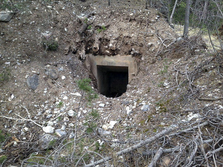 Ligne Maginot - LA PINATELLE SUD - (Abri) -  - Forstenried