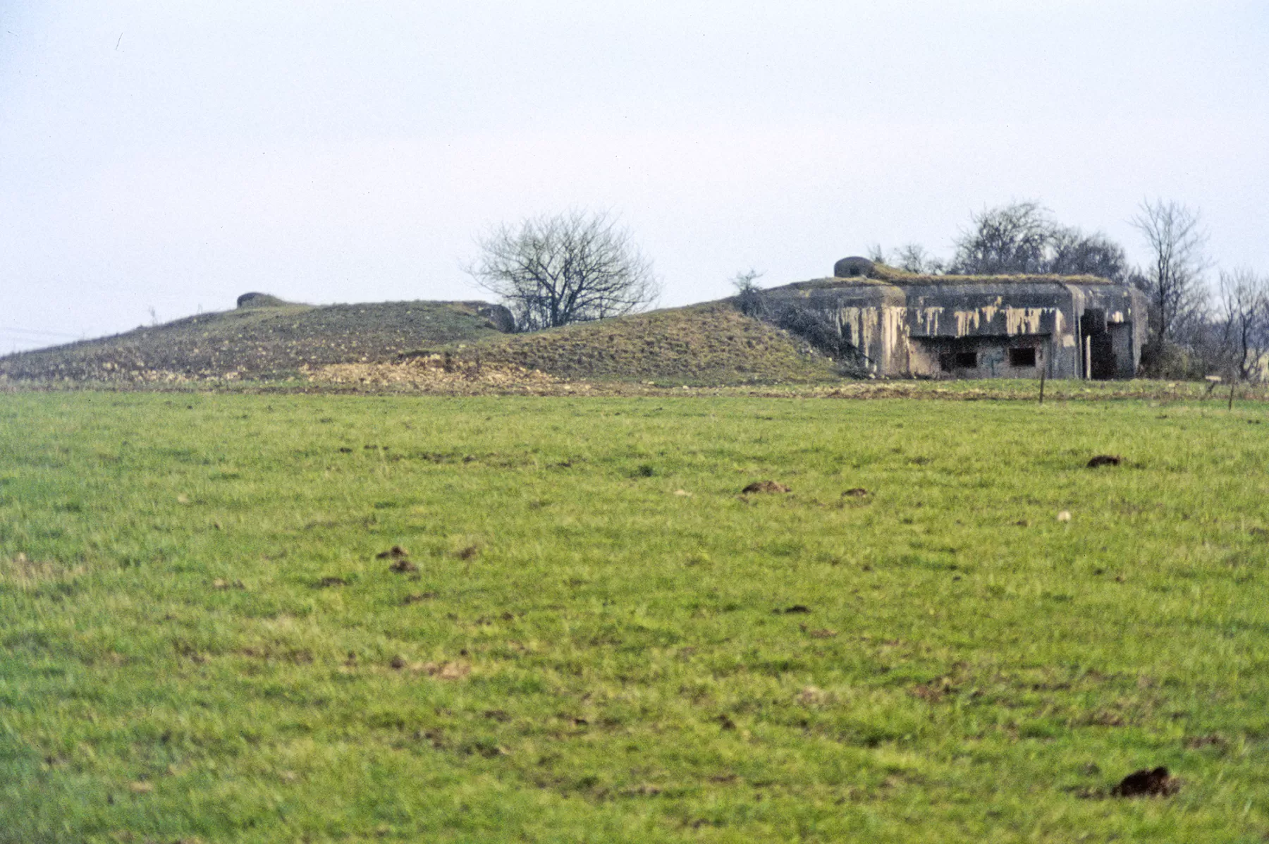 Ligne Maginot - BISTERBERG SUD III - C67 - (Casemate d'infanterie - Simple) - Les deux casemates de Bisterberg Sud - MANSUY Michel