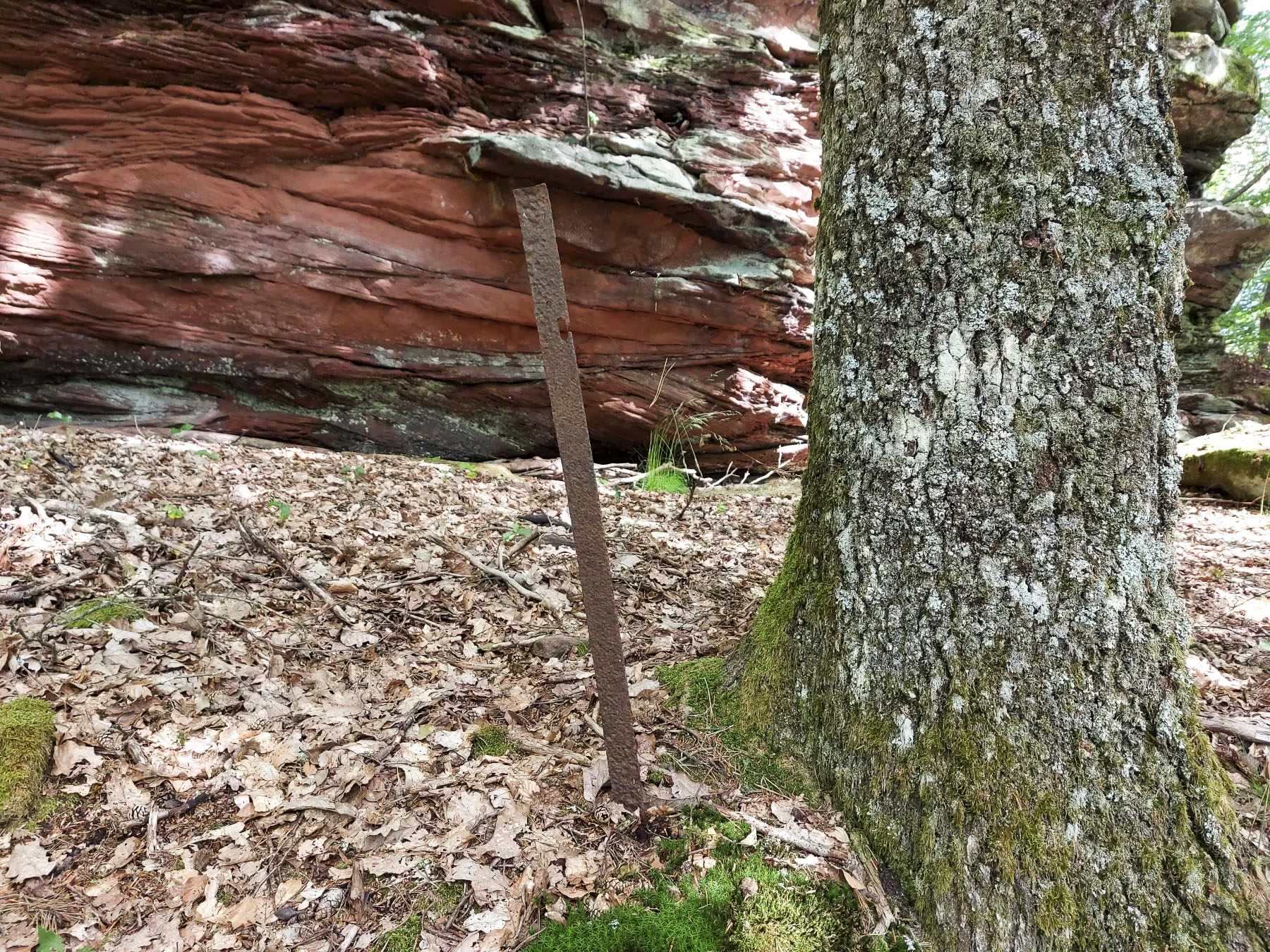 Ligne Maginot - BIESENBERG - OBS AVANCé - (Observatoire d'artillerie) - Rocher sommital
Poteau à barbelés - Gregory Fuchs