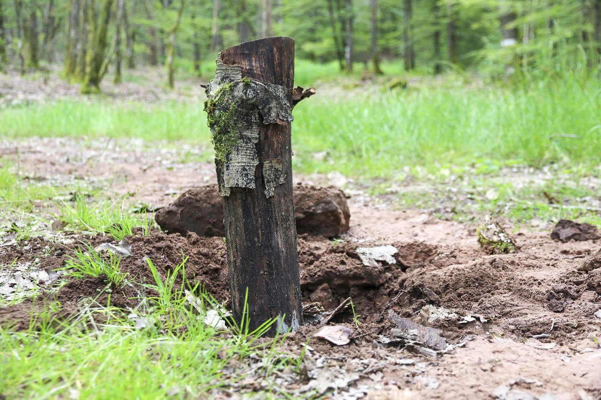 Ligne Maginot - BIESENBERG BIS - (Barrage de Route) - 'Tentative' de mise en situation - Alain Perouffe