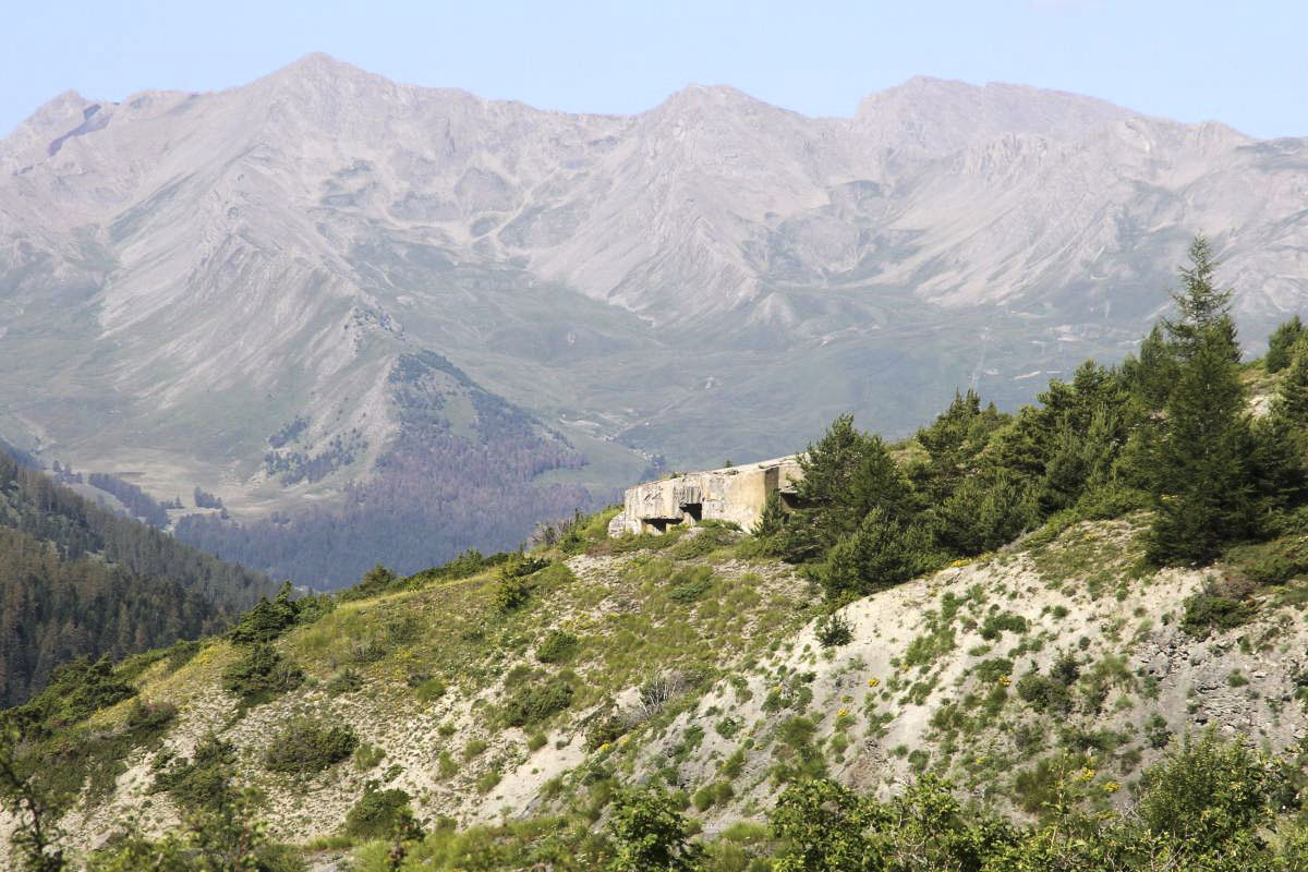 Ligne Maginot - SAINT OURS HAUT (SOH) - (Ouvrage d'artillerie) - Bloc 5.
Vu du chemin de Mallemort. La cloche GFM, en haut du bloc, est cachée par le sapin;