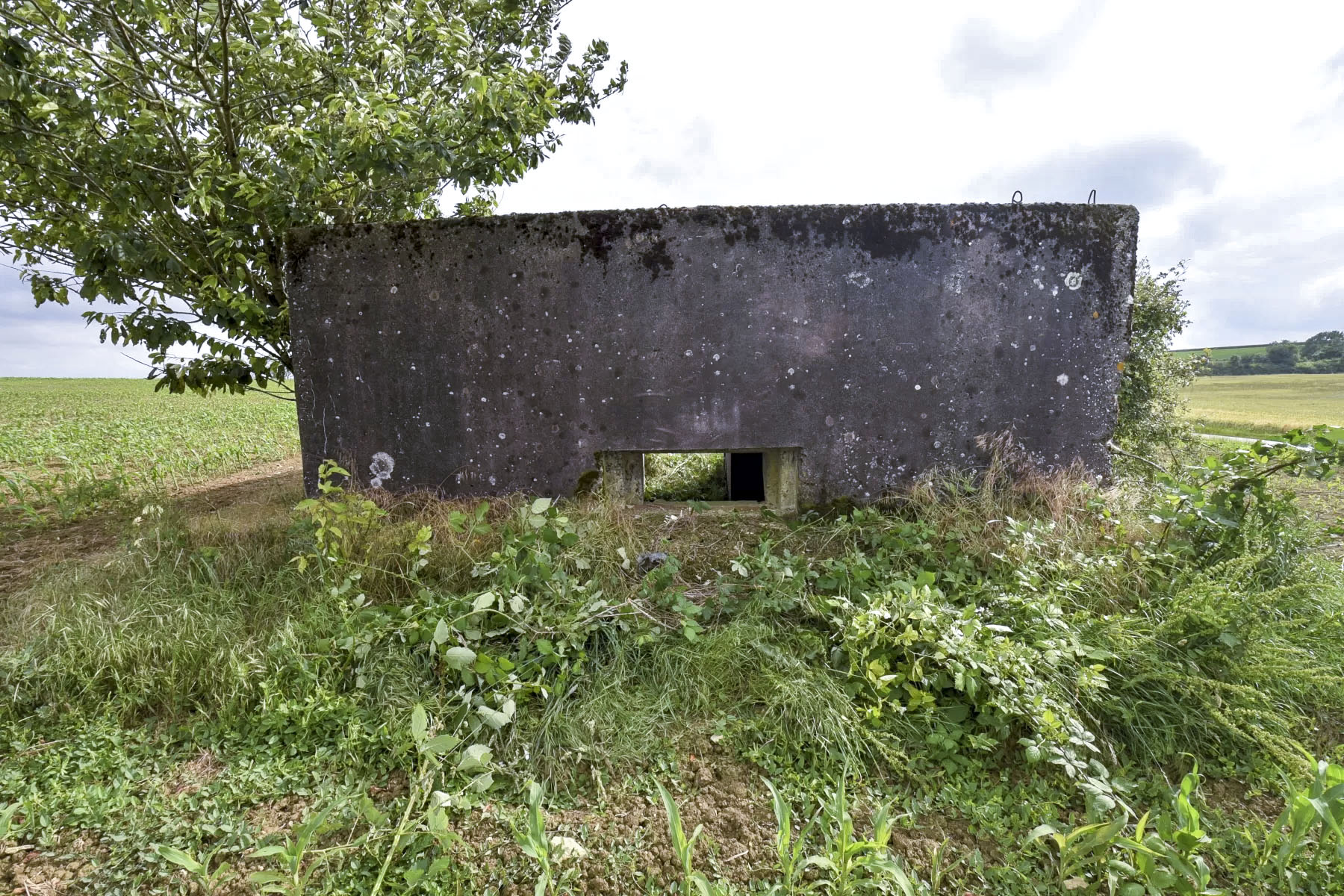 Ligne Maginot - SPIETZHUF OUEST - (Blockhaus pour canon) -  - Ludovic KNAPP