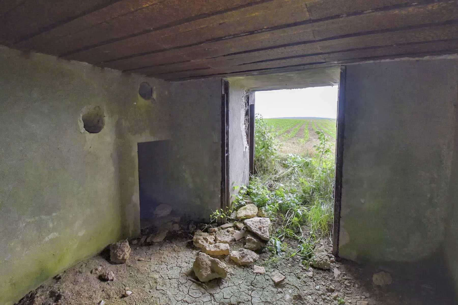 Ligne Maginot - SPIETZHUF OUEST - (Blockhaus pour canon) -  - Ludovic KNAPP