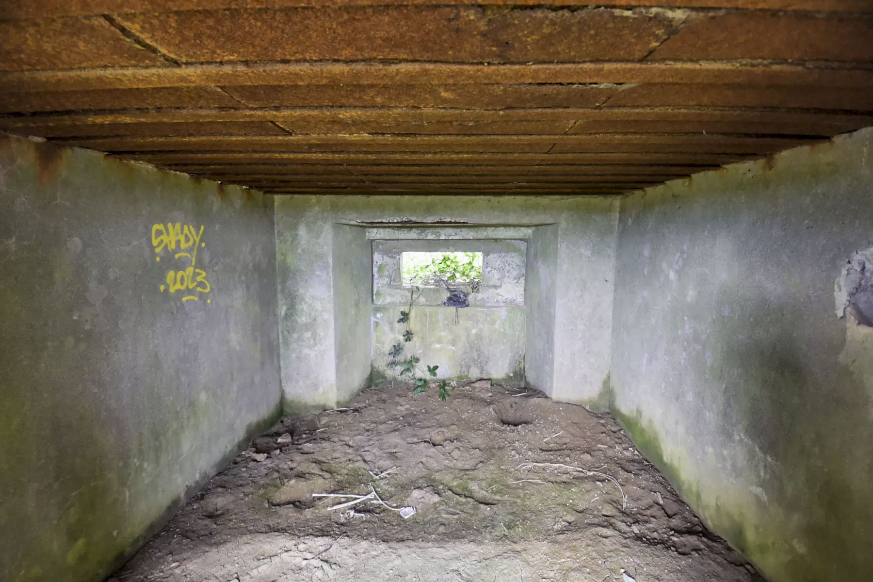 Ligne Maginot - SPIETZHUF OUEST - (Blockhaus pour canon) -  - Ludovic KNAPP