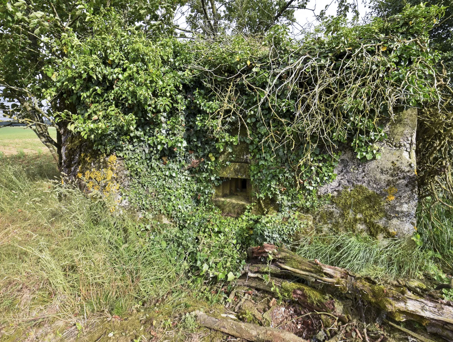 Ligne Maginot - SPIETZHUF EST - (Blockhaus pour arme infanterie) -  - Ludovic KNAPP