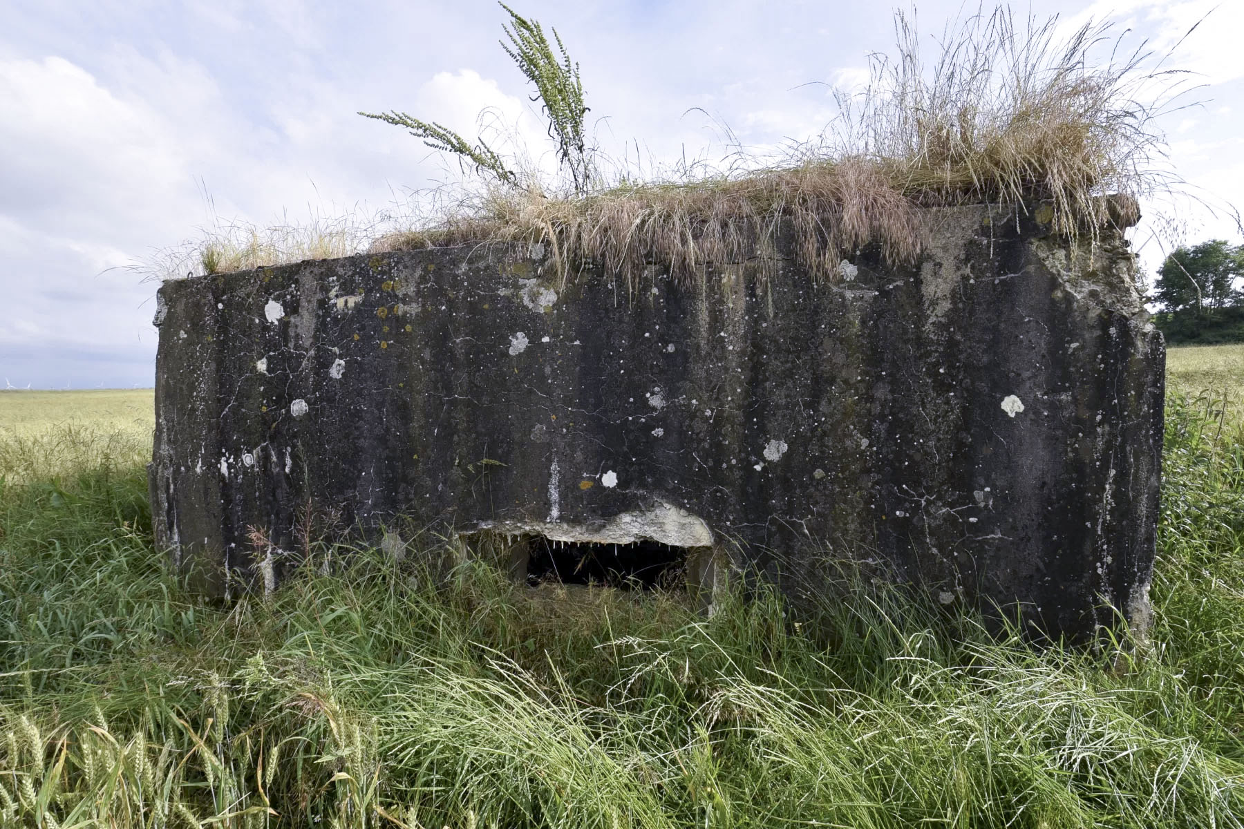 Ligne Maginot - BIENLINK SUD - (Blockhaus pour canon) -  - Ludovic KNAPP