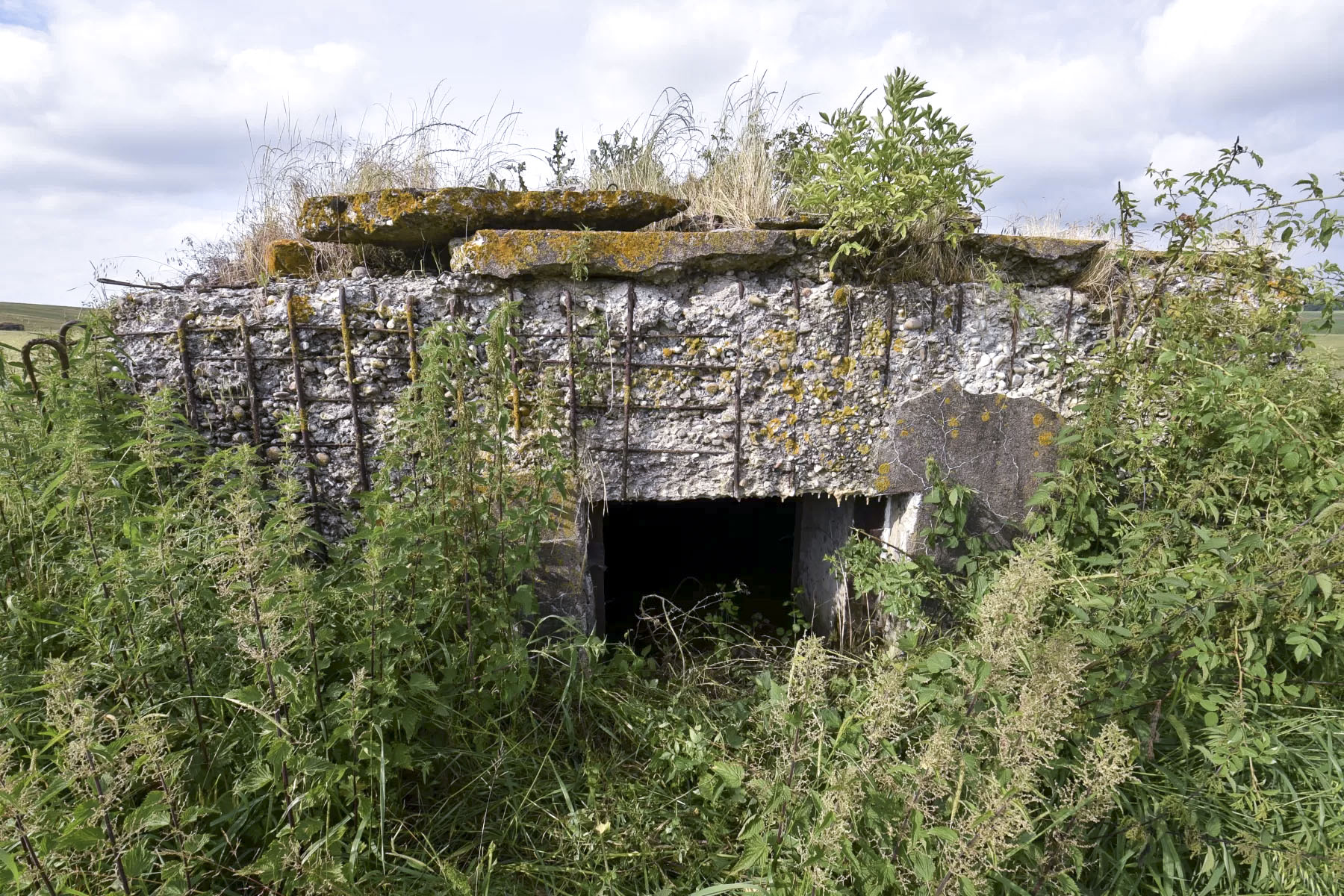 Ligne Maginot - BIENLINK SUD - (Blockhaus pour canon) -  - Ludovic KNAPP