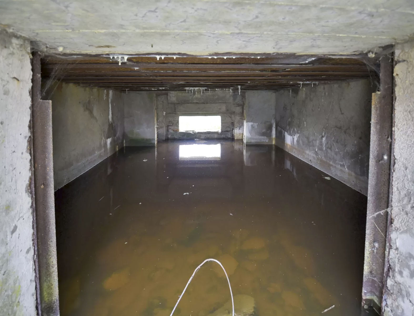 Ligne Maginot - BIENLINK SUD - (Blockhaus pour canon) -  - Ludovic KNAPP