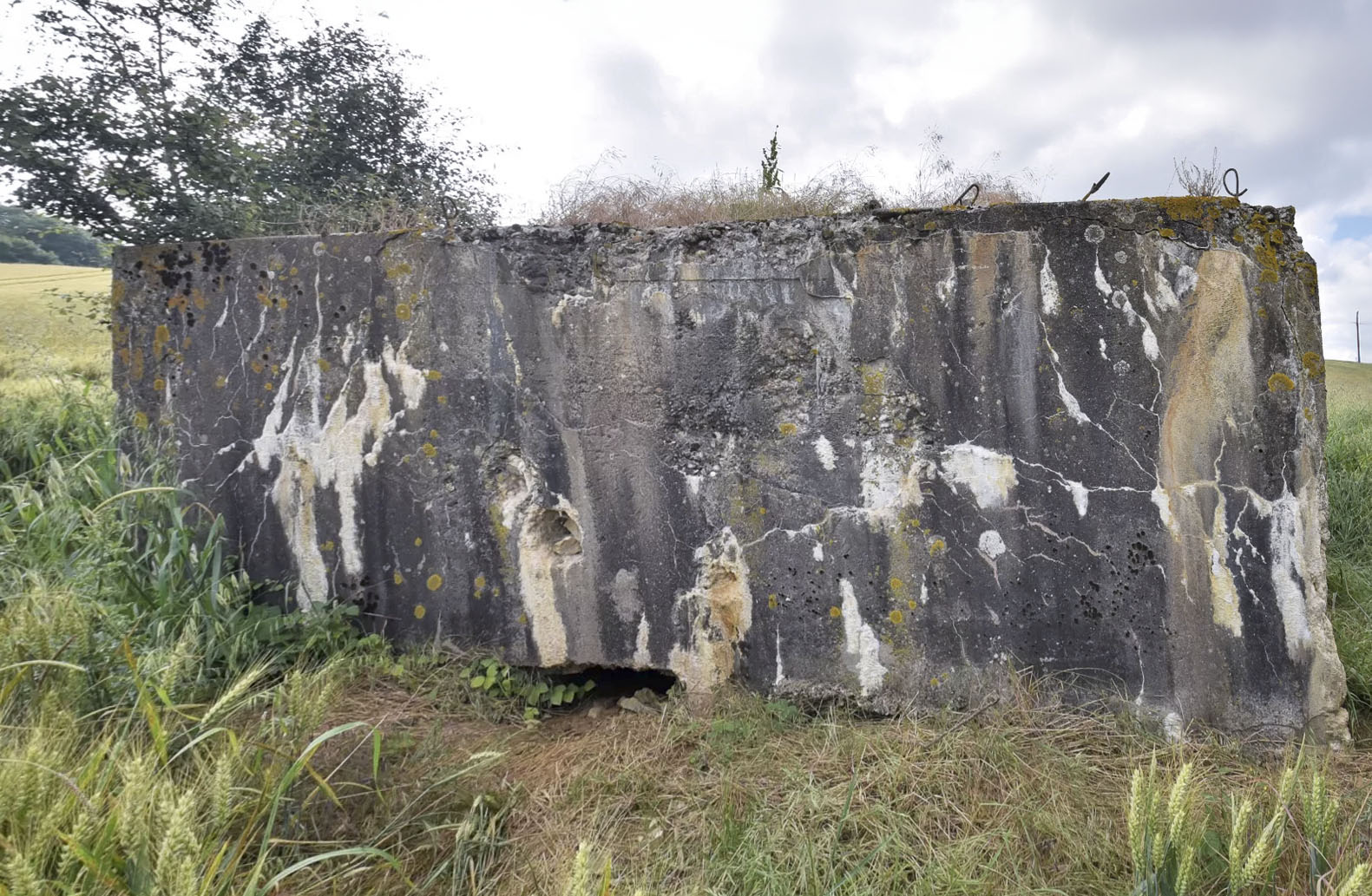Ligne Maginot - BIENLINK NORD - (Blockhaus pour arme infanterie) -  - Ludovic KNAPP