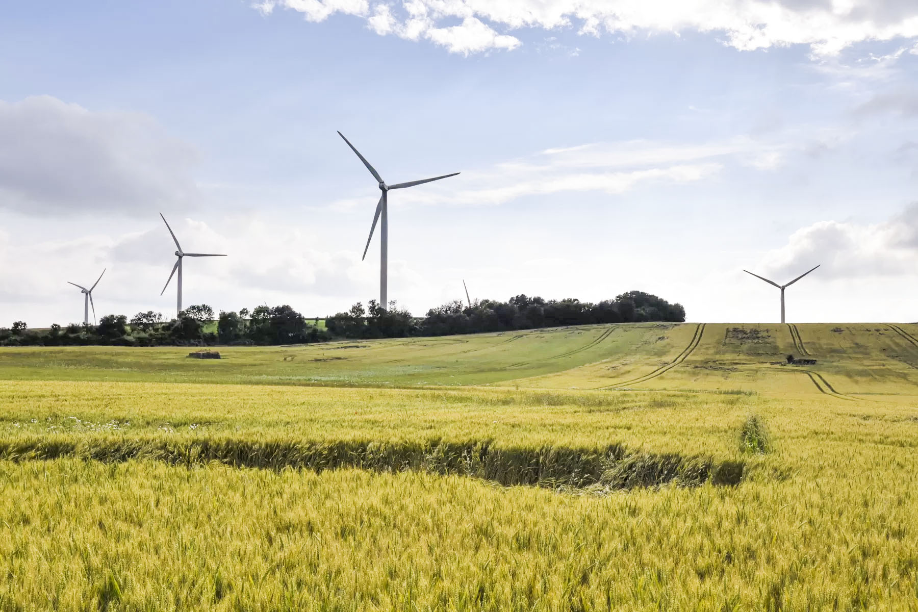 Ligne Maginot - BIENLINK NORD - (Blockhaus pour arme infanterie) -  - Ludovic KNAPP