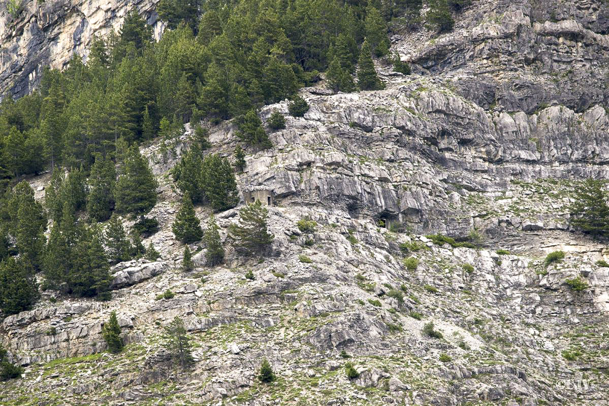 Ligne Maginot - LES AITTES 1 - (Blockhaus pour arme infanterie) -  - Lia VERMEULEN