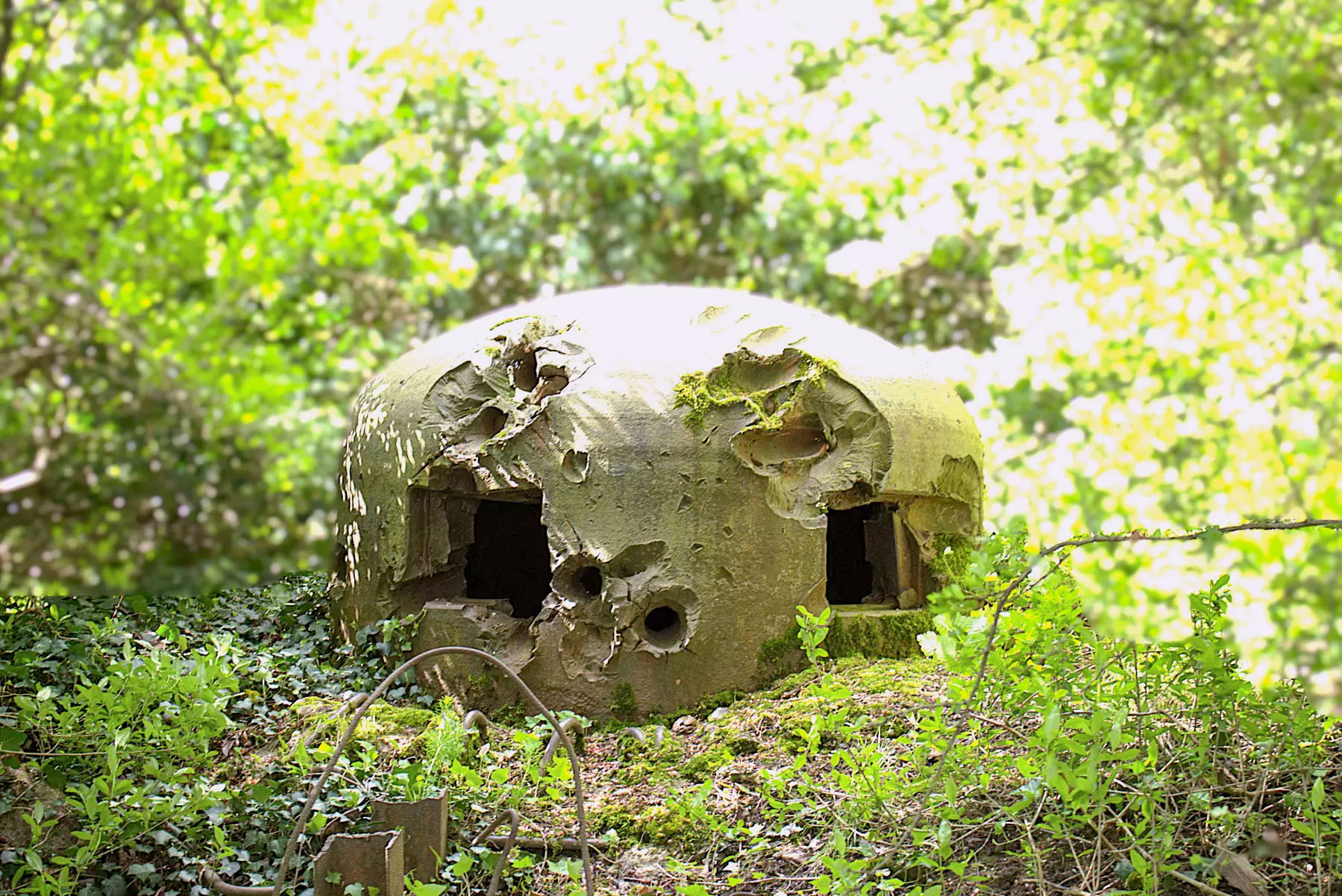 Ligne Maginot - HOFFEN - (Casemate d'infanterie - Simple) -  - Léo Zahn