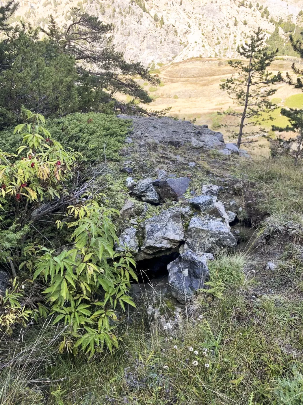 Ligne Maginot - LES AITTES INFéRIEUR 1 - (Blockhaus pour arme infanterie) -  - Mokry laurent