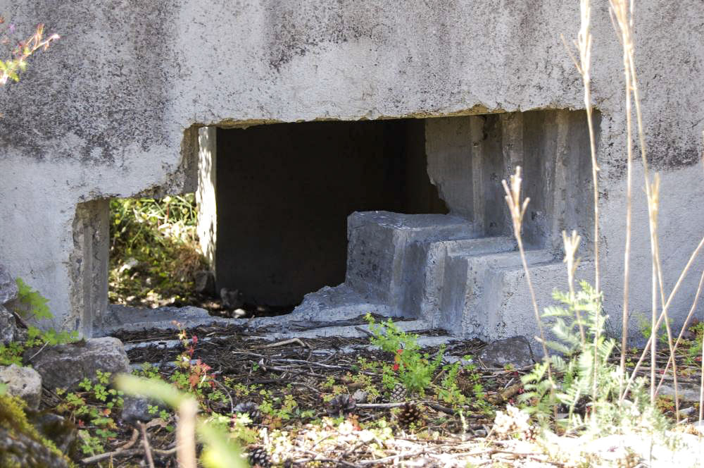 Ligne Maginot - LES SAGNES - (Blockhaus pour canon) - 