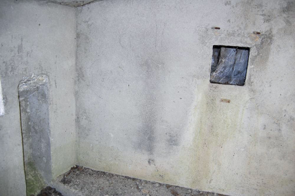 Ligne Maginot - LES SAGNES - (Blockhaus pour canon) - 