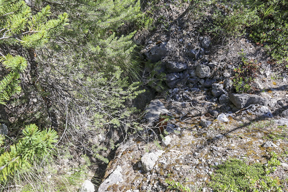 Ligne Maginot - MALEFOSSE - (Abri) - Seconde entrée - Alain Perouffe