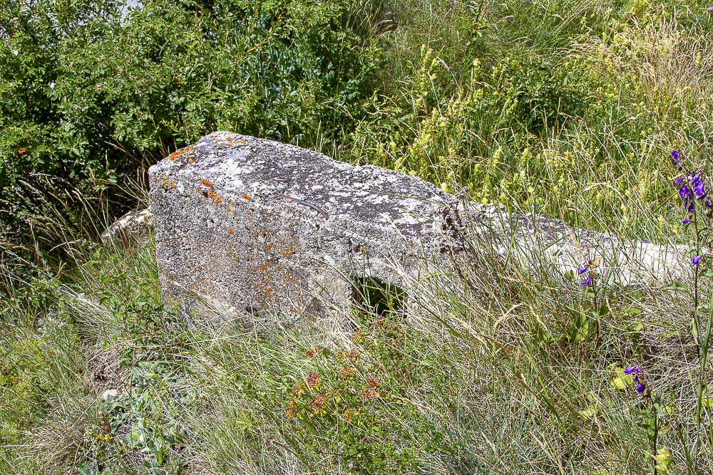 Ligne Maginot - MONTGENEVRE - CLOT ENJAIME  - (Blockhaus pour arme infanterie) - Vue avant
 - Michel Teiten