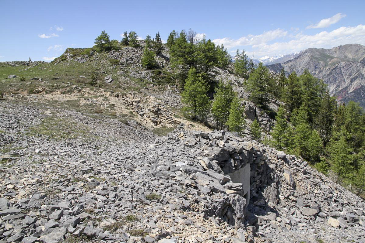 Ligne Maginot - OMBILIC NORD 1 - (Blockhaus pour arme infanterie) -  - Alain Perouffe
