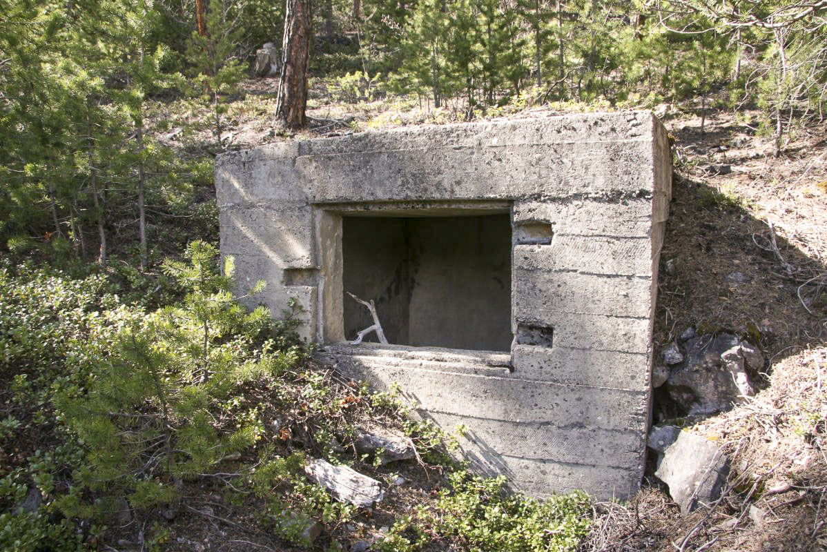 Ligne Maginot - RAVIN DE L'ENROUYE - (Abri) - Petite citerne à proximité - Alain Perouffe