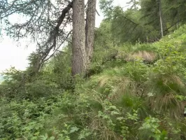 Ligne Maginot - ABRIES P1 - (Blockhaus pour arme infanterie) - Depuis Abriès P2, 30m Sud-Est, 10m plus haut (environ)