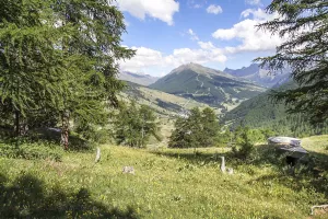 Ligne Maginot - CHANAROUX 1 - (Blockhaus pour arme infanterie) - Vue des 2 pilules et leur panorama. 